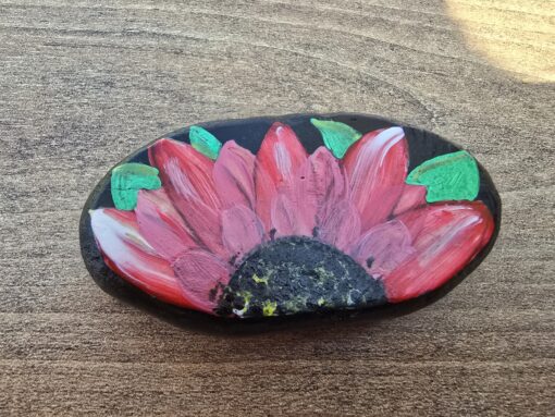 Rood/roze bloem op zwarte achtergrond