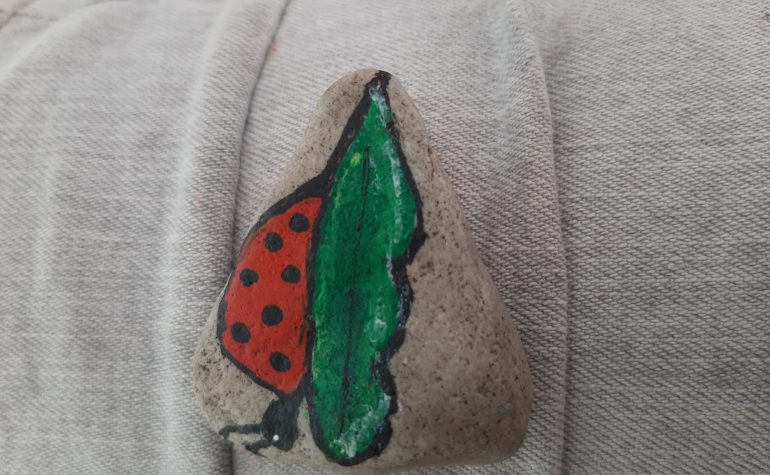 Kei Tof - Lieveheersbeestje op blad