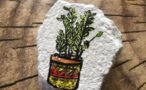 Kei Tof - Plant uit Assen
