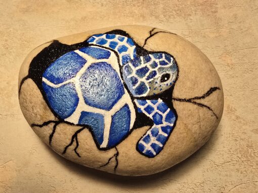 Blauwe schildpad uit ei
