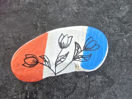 Hollandse Tulpen