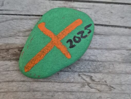 Vierdaagse 2025 (1)