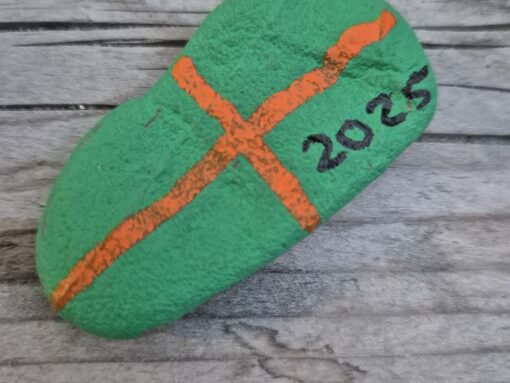 Vierdaagse 2025 (2)