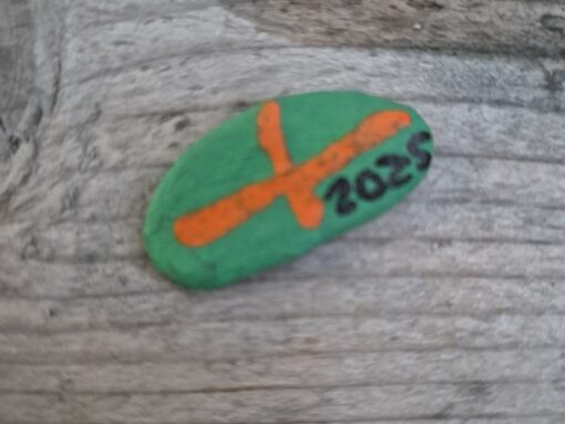 Vierdaagse 2025 (3)