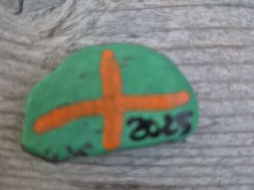 Vierdaagse 2025 (4)