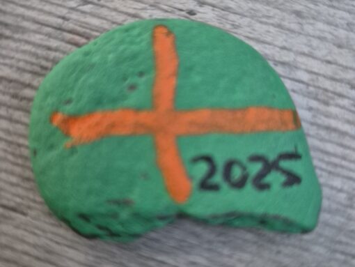 Vierdaagse 2025 (7)