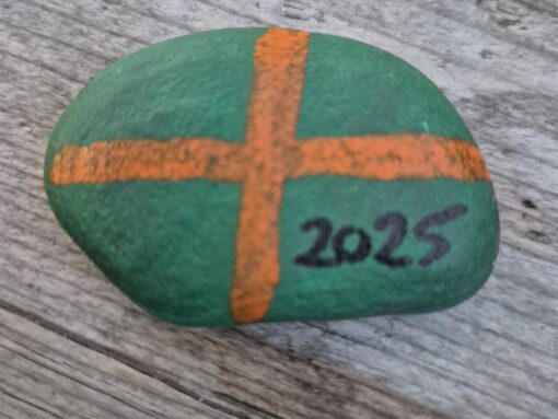 Vierdaagse 2025 (8)