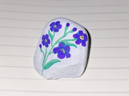 Vergeet-me-nietje / bloem