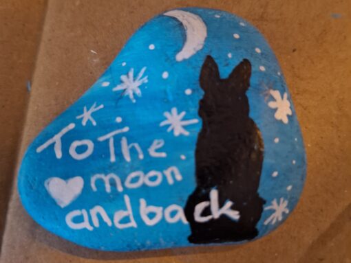 To the moon and back