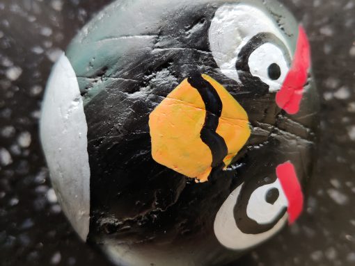Angry bird