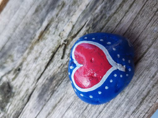 Paint a Rock, Hide a Rock day 24 -07- 2021