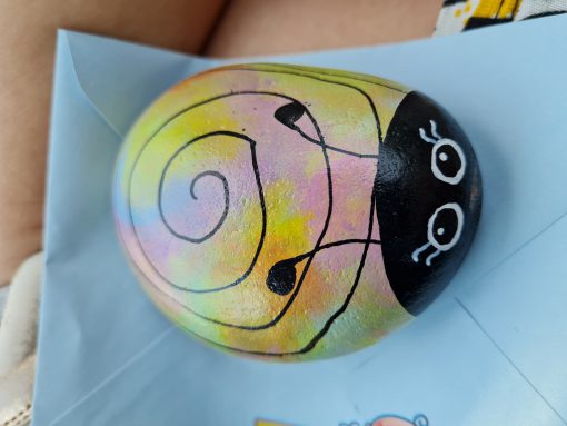 Regenboog lieveheersbeestje