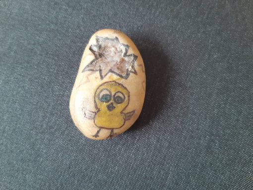 Kuikentje uit het ei