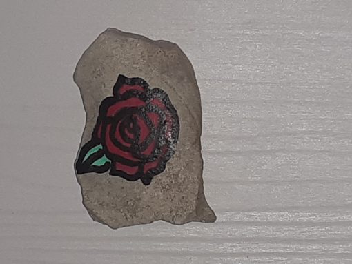 Red rose
