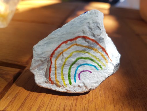 Regenboog