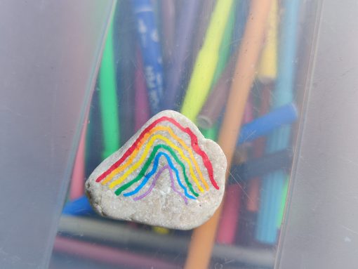 Regenboog