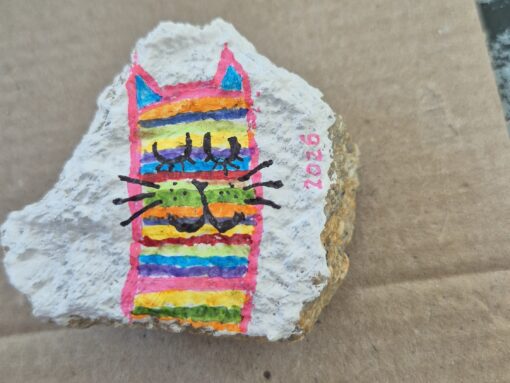 Franse kat