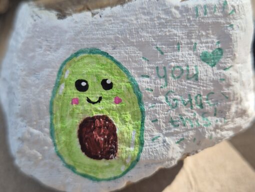 Avocado