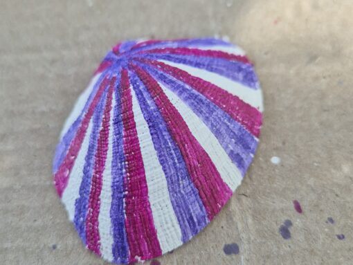 Circus schelp