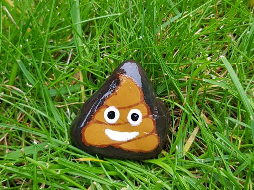 Crappy stone