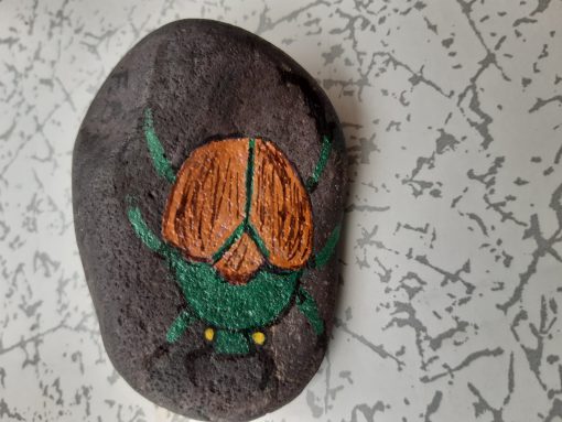 Insect tor