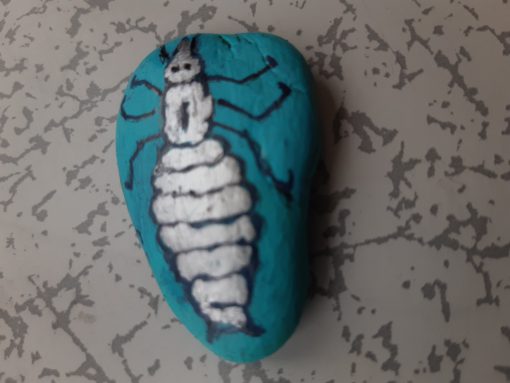 Insect, luis