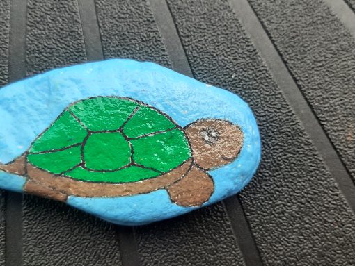 Schildpad 1