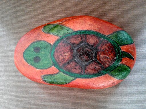 Toon de Schildpad