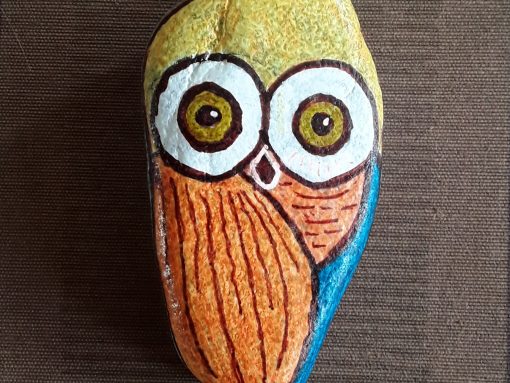Wat is het nou? Uilskuiken of zo wijs als een uil? Zeg jij het maar....