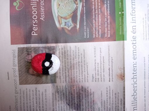 Pokèmon bal