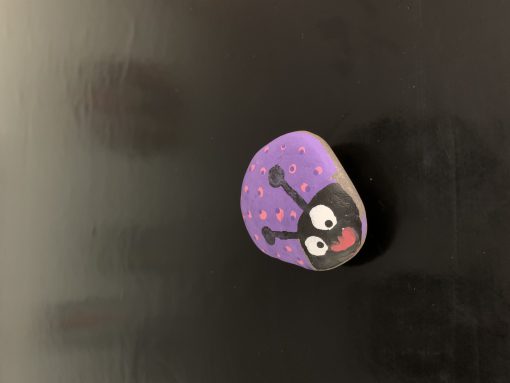 Lieveheersbeestje paars