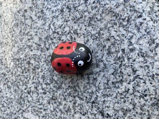 Insecten