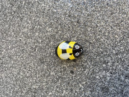 Insecten