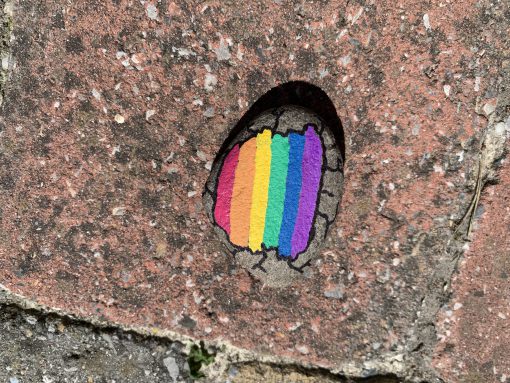 Regenboog
