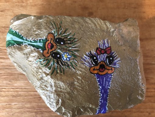 Gekleurde struisvogels