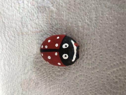 1.Lieveheersbeestje
