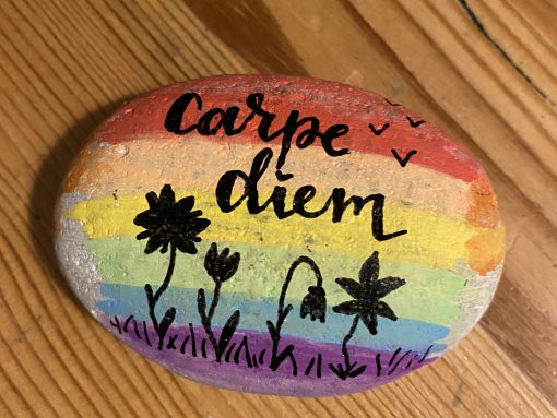 Carpe diem regenboog