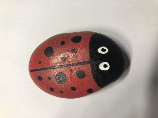 Lieveheersbeestje 18/8