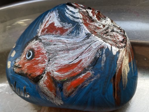 Zilvervis Blub