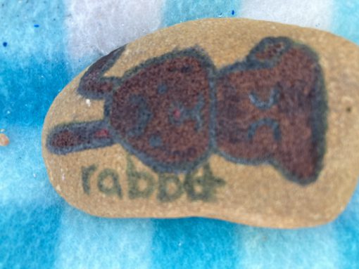 Rabbit