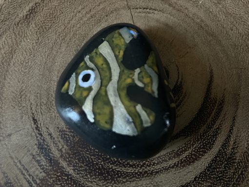 Vis