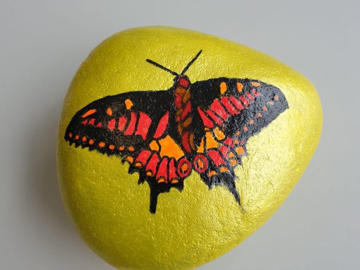 Vlinder