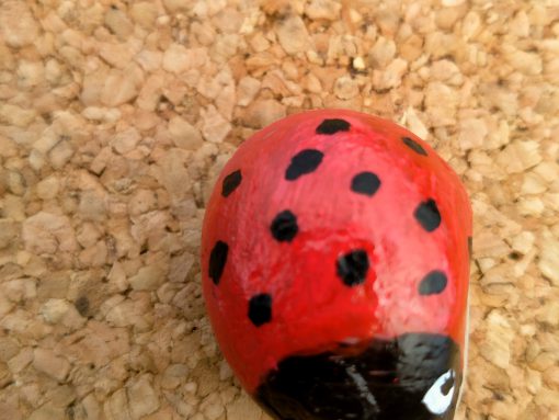 Lieveheersbeesje