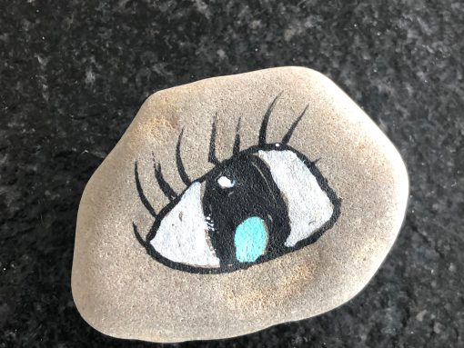 Het oog
