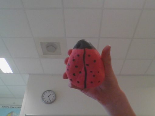 lieveheersbeestje