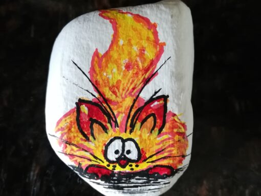Cat on fire
