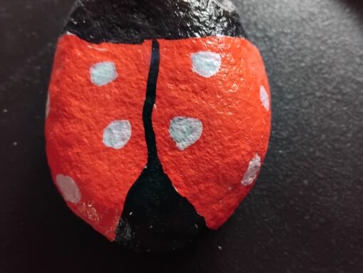 Lieveheersbeestje 1