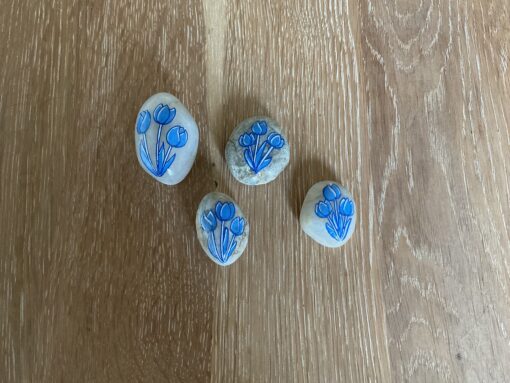 Happy Holland tulips