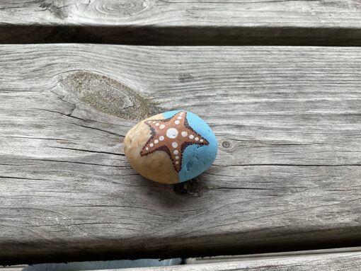 Happy starfish