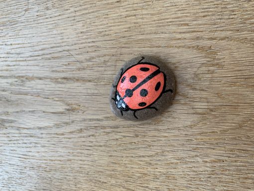 Happy ladybug
